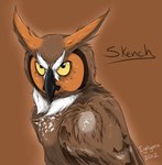 ambiguous_gender brown_background brown_body brown_feathers feathers feral simple_background solo yellow_eyes ignigeno guardians_of_ga'hoole skench_(gogh) avian bird great_horned_owl horned_owl owl true_owl 2012 female_(lore)