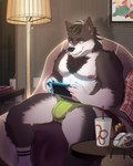 anthro areola balls_outline barbell_piercing briefs brown_body brown_fur brown_hair bulge chair chest_fur clothed clothing container cup detailed_bulge ear_piercing eyebrows food footwear fries fur furniture gaming genital_outline hair inside lamp male muscular muscular_anthro muscular_male nipple_barbell nipple_piercing nipples pecs piercing playing_video_game sitting smile socks solo teeth topless underwear white_body white_fur sodabae nintendo nintendo_switch canid canine canis domestic_dog hybrid mammal wolf wolfdog 2023 digital_media_(artwork) hi_res