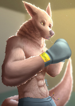 anthro boxing boxing_gloves clothing fur handwear male solo sport tail hamapup canid canine canis domestic_dog mammal absurd_res hi_res