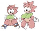 anthro biped bottomless clothed clothing disembodied_penis duo female footwear genitals male male/female penis prodding pussy shirt shoes short_stack solo_focus topwear sakana8888888 classic_sonic_(universe) sega sonic_the_hedgehog_(series) amy_rose classic_amy_rose eulipotyphlan hedgehog mammal digital_media_(artwork) unavailable_at_source