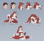 all_fours animal_genitalia animal_penis autofellatio autofootjob balls big_balls big_penis brown_hair canine_genitalia canine_penis countershade_face countershade_feet countershade_fur countershade_neck countershade_tail countershade_torso countershading crouching ear_growth ejaculation erection eyes_closed feet fingerless_(marking) foot_fetish foot_play fur fur_growth genitals goo_transformation green_eyes grey_background growth hair logo long_tongue male markings masturbation motion_lines nude oral oral_masturbation pawpads penile penile_masturbation penis red_body red_mouth red_nose red_pawpads red_penis simple_background sitting sitting_on_ground snout snout_growth solo spread_legs spreading tail tongue tongue_around_penis tongue_out transformation transformation_sequence white_body white_countershading white_markings year cocofox puddle_(cocofox) canid canine canis domestic_dog human husky mammal nordic_sled_dog spitz 2024 artist_logo colored hi_res