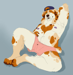 anthro armpit_hair backwards_hat body_hair boxers_(clothing) chest_tuft clothed clothing hand_behind_head hand_on_belly hat headgear headwear looking_at_viewer male male_anthro neck_tuft nipple_piercing nipples one_eye_closed overweight overweight_anthro overweight_male piercing simple_background sitting solo topless topless_anthro topless_male tuft underwear wink winking_at_viewer chubchow australian_shepherd canid canine canis domestic_dog herding_dog mammal pastoral_dog sheepdog 2025 absurd_res hi_res