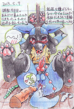 anal_beads animal_genitalia anthro anthro_focus anus ball_gag balls bdsm blue_body blue_fur blush bodily_fluids bondage bound cum cum_in_ass cum_inside cum_on_body cum_on_face cum_on_own_face cum_on_self dildo duo erection exclamation_point fur gag gagged genital_fluids genitals heart_symbol interrobang knot looking_at_viewer male nude pawpads paws penis question_mark red_eyes rope sex_toy solo_focus submissive submissive_male sweat tears text training nekonohige nintendo pokemon canid canine generation_4_pokemon human lucario mammal pokemon_(species) japanese_text translated