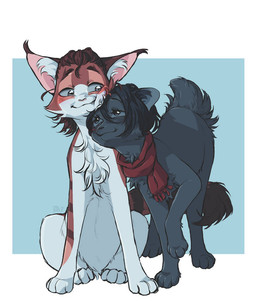 ambiguous_gender black_body black_fur black_hair blue_sclera brown_hair brown_markings duo feral feral_with_hair feralized fur ginger_fur grey_eyes hair long_tail markings orange_body orange_fur red_body red_fur red_scarf romantic scarf tail white_body white_fur silveyytm attack_on_titan eren_jaeger mikasa_ackerman bobtail_cat domestic_cat felid feline felis japanese_bobtail maine_coon mammal turkish_angora 2023 female_(lore) male_(lore)