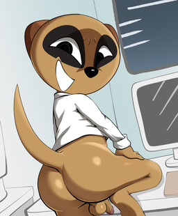 anthro backsack balls big_butt black_body black_eyes black_fur black_nose bottomless brown_balls brown_body brown_fur brown_penis brown_perineum butt clothed clothing collared_shirt computer computer_monitor dress_shirt dutch_angle electronics facial_markings fur genitals glans head_markings humanoid_genitalia humanoid_penis looking_at_viewer looking_back male markings mask_(marking) office penis perineum pink_glans pupils raised_tail shirt small_balls small_penis smile smirk smug solo tail topwear white_clothing white_shirt white_topwear jerseydevil aggretsuko sanrio chief_komiya herpestid mammal meerkat 2022 absurd_res hi_res