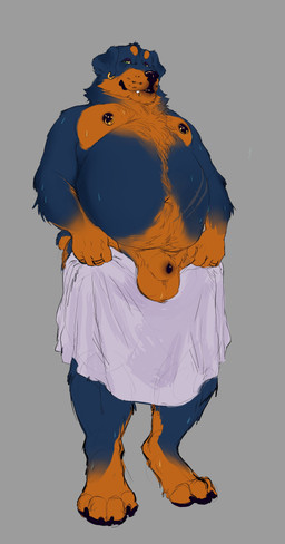 animal_genitalia animal_penis anthro balls body_hair canine_genitalia canine_penis chest_hair ear_piercing ear_ring genitals holding_object holding_towel looking_at_viewer male male_anthro nipple_piercing nipple_ring nipples nude nude_anthro nude_male overweight overweight_anthro overweight_male penis penis_tip piercing pubes ring_piercing sheath simple_background solo standing towel wet chubchow beauceron canid canine canis domestic_dog herding_dog mammal mastiff molosser pastoral_dog rottweiler 2022 absurd_res hi_res