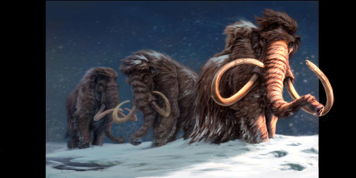brown_body brown_fur feral fluffy footprint fur group long_fur proboscis_(anatomy) quadruped snow snowing trio trunk_(anatomy) tusks grazianoroccatani elephantid mammal mammoth prehistoric_species proboscidean woolly_mammoth 2020 digital_media_(artwork) digital_painting_(artwork) painting_(artwork)