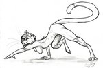 all_fours anthro athletic athletic_anthro athletic_female big_breasts breasts butt claws digitigrade dipstick_tail female hair hanging_breasts markings muscular muscular_thighs nipples nude paper paws pose short_hair slim smile solo stalking tail tail_markings whiskers sunny_way javelin_(character) domestic_cat felid feline felis mammal 2020 monochrome pinup sketch traditional_media_(artwork)