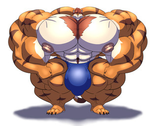 4_toes anthro big_muscles big_nipples big_pecs big_penis body_hair bulge chest_hair claws feet fur genitals hair huge_muscles huge_nipples huge_pecs huge_penis huge_thighs hyper hyper_biceps hyper_genitalia hyper_muscles hyper_nipples hyper_pecs hyper_penis hyper_thighs male markings muscular muscular_male navel nipples orange_body orange_fur pecs penis solo striped_markings stripes tail thick_thighs toe_claws toes white_body white_fur umbreoncloud felid mammal pantherine tiger absurd_res hi_res