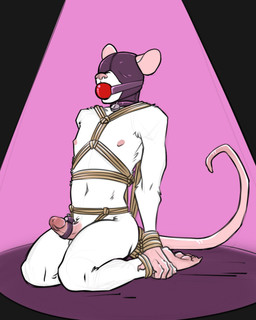 accessory anthro ball_gag bdsm black_background bondage bound cock_ring cock_ring_vibrator collar erection femboy fur gag gagged genitals gimp_mask humanoid_genitalia humanoid_penis jewelry kneeling male male_anthro mask nipples nude_anthro nude_male penile penis penis_accessory penis_jewelry pink_background restraints ring_vibrator rope rope_bondage rope_harness sex_toy simple_background slim slim_anthro slim_male solo submissive submissive_anthro submissive_male three-quarter_view vibrating_cock_ring vibrator vibrator_on_penis white_body white_fur lady_snakebite biscuit_(biscuits) mammal mouse murid murine rodent 4:5 full-length_portrait hi_res portrait