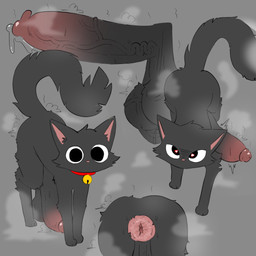 anus balls bell bell_collar big_penis black_body black_fur bodily_fluids butt cheek_tuft collar facial_tuft feral fluffy fluffy_tail fur genital_fluids genitals grey_background heart_eyes heart_symbol huge_penis humanoid_genitalia humanoid_penis hyper hyper_genitalia hyper_penis leaking_precum male mouthless penis pink_nose precum puffy_anus saggy_balls simple_background small_but_hung solo steam sweat tail throbbing throbbing_penis tuft vein veiny_penis f_d_e_i_a domestic_cat felid feline felis mammal 1:1 hi_res