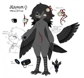 accessory anthro beak bird_legs black_body black_collar black_eyes black_feathers black_tail blind_eye claws collar eye_scar eyeball facial_scar feathered_tail feathers female female_anthro grey_beak grey_body grey_claws grey_feathers grey_hair grey_scutes hair hair_accessory heterochromia jewelry knife legband navel red_scar scar scutes smile solo standing tail text toe_claws white_eyes winged_arms wings yellow_sclera jejejunum jejunum_(jejejunum) avian bird corvid corvus_(genus) crow oscine passerine 2025 digital_drawing_(artwork) digital_media_(artwork) english_text full-length_portrait hi_res model_sheet portrait