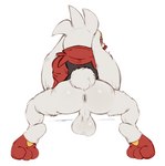 anthro anus backsack balls big_balls butt clothed clothing genitals male partially_clothed presenting presenting_hindquarters red_eyes simple_background solo white_body darkluxia nintendo pokemon generation_8_pokemon pokemon_(species) raboot digital_media_(artwork)