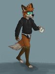 anthro black_clothing black_hoodie black_topwear briefs bulge clothing drawyourfursona hoodie hoodie/briefs_meme male solo standing topwear underwear white_clothing white_underwear ethan_forestfox meme_clothing ethan_blade canid canine fox mammal hi_res meme