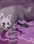 ambiguous_gender black_nose claws cloud feral fluffy fluffy_tail fur grey_body grey_fur inhaling raow raow_ttrpg scent simple_background smoke tail teeth teeth_showing whiskers starwolfskin zgf_art zgf_gaming canid canine canis mammal wolf 2023 absurd_res digital_media_(artwork) digital_painting_(artwork) hi_res shaded