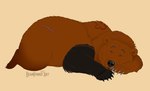bear bearhybrid brown_body brown_fur calm feral fluffy fur male mammal nafeon sleeping solo