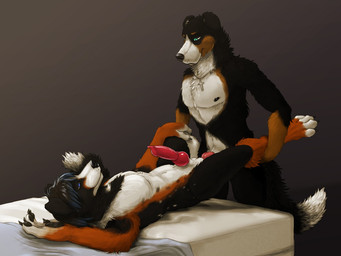 anal anal_penetration anatomically_correct anatomically_correct_genitalia anatomically_correct_penis animal_genitalia animal_penis anthro areola balls barefoot bed canine_genitalia canine_penis claws cross cross_necklace detailed_fur duo erection feet from_front_position fur furniture genitals jewelry knot looking_down looking_up lying male male/male male_penetrated male_penetrating male_penetrating_male necklace nipples nude on_back on_bed pawpads paws pecs penetration penis religion reverse_wheelbarrow_position sex smile spread_legs spreading standing toe_claws virtyalfobo christianity lucas_(lucasreturns) australian_shepherd bernese_mountain_dog canid canine canis domestic_dog herding_dog mammal molosser mountain_dog pastoral_dog sheepdog swiss_mountain_dog 4:3 detailed