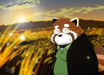 anthro autumn clothing eyewear glasses kemono male outside shirt slightly_chubby solo topwear gatoggy ailurid mammal red_panda 2020