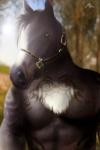 anthro black_body black_fur blurred_background bridle chest_tuft front_view fur green_eyes looking_at_viewer male multicolored_body multicolored_fur muscular muscular_anthro muscular_male pecs solo tattoo tuft two_tone_body two_tone_fur white_body white_fur shadow_pup23 third-party_edit luckystallion13 equid equine horse mammal 2014 half-length_portrait hi_res photo_manipulation photomorph portrait signature