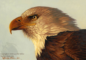 ambiguous_gender beak brown_body brown_feathers feathers feral photorealism realistic solo text white_body white_feathers nambroth accipitrid accipitriform avian bald_eagle bird eagle sea_eagle 2018 english_text oil_painting_(artwork) painting_(artwork) signature source_request traditional_media_(artwork) traditional_painting_(artwork) unavailable_at_source url