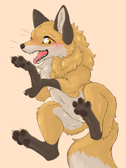 3_toes 4_toes ambiguous_gender black_ears black_nose black_pawpads blush bodily_fluids brown_body brown_fur cheek_tuft chest_tuft claws countershade_torso countershading digitigrade dipstick_tail eyelashes facial_tuft fangs featureless_crotch feet feral finger_claws fluffy fluffy_tail fur gloves_(marking) inner_ear_fluff leg_markings looking_at_viewer markings multicolored_body multicolored_fur multicolored_tail neck_tuft open_mouth orange_body orange_fur pawpads paws pink_tongue quadruped sharp_teeth simple_background snout socks_(marking) solo sweat sweatdrop tail tail_markings tan_background tan_body tan_fur teeth toe_claws toes tongue tongue_out tuft whiskers white_body white_claws white_fur yellow_body yellow_eyes yellow_fur fusau canid canine fox mammal 2024 3:4 digital_media_(artwork) hi_res