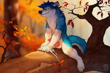 animal_genitalia animal_penis anthro autumn balls blue_body blue_fur bodily_fluids canine_genitalia canine_penis claws cum cum_on_hand cum_on_penis feet finger_claws fluffy fluffy_tail forest fur genital_fluids genitals hair knot leaf leaning leaning_forward looking_at_viewer male narrowed_eyes nude orgasm outdoor_nudity outside paws penis plant seductive sitting smile smirk solo tail teeth toe_claws tree white_body white_fur anchee diamond_(razorirr) canid canine canis domestic_dog husky mammal nordic_sled_dog spitz 2023 absurd_res digital_media_(artwork) hi_res watermark