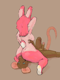 anthro anthro_on_anthro balls breasts brown_body duo erection faceless_anthro faceless_character faceless_female facesitting female female_anthro genitals hair long_hair male male/female male_anthro nude nude_anthro nude_female nude_male oral penis pink_body pink_hair sitting sitting_on_another tail artkoni taylor_the_rat lagomorph leporid mammal murid murine prehensile_tailed_rat rabbit rat rodent 3:4 hi_res