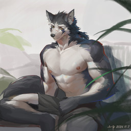 anthro bottomwear cheek_tuft clothed clothing facial_tuft front_view fur glistening glistening_eyes grey_body grey_bottomwear grey_clothing grey_fur grey_nose grey_shorts head_tuft inner_ear_fluff looking_at_viewer male male_anthro mouth_closed muscular muscular_anthro muscular_male neck_tuft nipples pecs pink_nipples shorts solo topless tuft white_body white_fur white_inner_ear_fluff yellow_eyes awaldkize canid canine mammal 1:1 2024 absurd_res dated hi_res signature