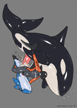 anal anal_penetration feral fin glistening glistening_body grey_background group group_sex inflatable latex male neoprene penetration pool_toy sex simple_background size_difference threesome wetsuit deusexmoose negadrake aquatic cetacean dolphin mammal oceanic_dolphin orca toothed_whale 2024 hi_res