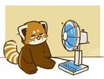 black_nose brown_body brown_fur chibi daww dot_eyes electric_fan eyes_closed feral fur kemono simple_eyes sitting shi_nominmin ailurid mammal red_panda 2021 4:3 animated no_sound short_playtime webm