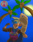 anthro clothed clothing day feet female foot_fetish humanoid_feet looking_at_viewer looking_down looking_down_at_viewer low-angle_view macro outside palm_tree pawpads paws plant plantigrade soles solo tree worm's-eye_view roadkill-sarny activision crash_bandicoot_(series) pirate_tawna bandicoot mammal marsupial absurd_res hi_res