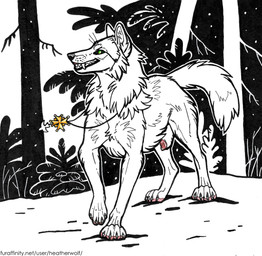 animal_genitalia animal_penis canine_genitalia canine_penis cheek_tuft chest_tuft facial_tuft fangs feral genitals green_eyes grin jewelry lipsticking looking_at_viewer male male_feral neck_tuft necklace penis penis_tip pink_penis plant quadruped red_penis sheath smile solo tail teeth text tree tuft heatherwolf canid canine mammal partially_colored url