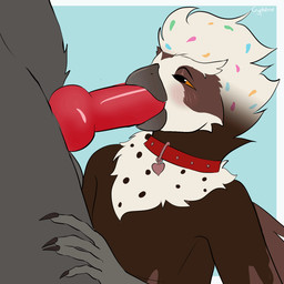 animal_genitalia animal_penis anthro beak blush bodily_fluids canine_genitalia canine_penis collar duo feathers fellatio femboy food foodsona genitals hand_on_leg hand_on_thigh knot male male/male open_beak open_mouth oral penile penis saliva sex wings cryptidrot nintendo pokemon ceilo_(wafflezcol) avian bird food_creature generation_5_pokemon owl pokemon_(species) pulsatrix spectacled_owl true_owl zoroark animated loop
