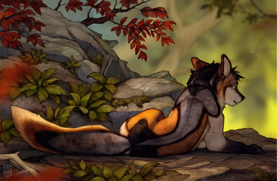 ambiguous_gender blue_eyes butt collar feral fur inner_ear_fluff looking_at_viewer looking_back looking_back_at_viewer on_ground outside plant rear_view solo tail tree tuft anchee friduwulf canid canine mammal 2026 absurd_res digital_drawing_(artwork) digital_media_(artwork) hi_res