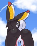 anus butt clitoris cloud ears_back female genitals nude pivoted_ears pussy sky skyscape solo tail sad_sun_knight aix_(andreariel) humanoid lagomorph leporid mammal rabbit hi_res