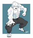 anthro bottomwear clothing fur male muscular muscular_anthro muscular_male pecs simple_background solo white_body white_fur kurumiken paul_(kurumiken) bear mammal 2020 hi_res