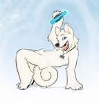 animal_genitalia anthro balls blue_eyes fur genitals glowstick jewelry male necklace nude penis penis_tip sheath solo white_body white_fur gothicsiamese kwik_(artist) mblade akita canid canine canis domestic_dog mammal spitz 2014