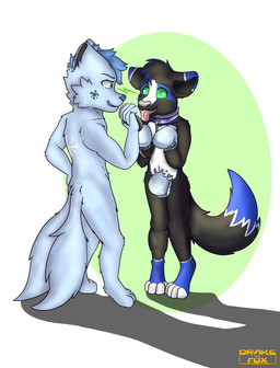 anthro duo hypnosis latex leash male master mind_control ringed_eyes slave transformation drakethefox canid canine canis fox hybrid mammal wolf hi_res