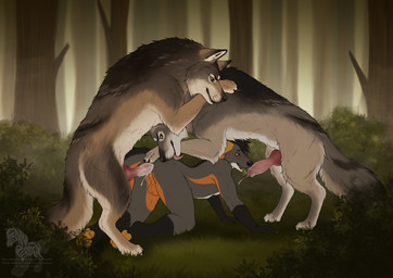 all_fours anal anal_penetration animal_genitalia animal_penis anthro anthro_on_feral anthro_penetrated balls bestiality biped blush bodily_fluids butt canine_genitalia canine_penis claws cum cum_in_ass cum_inside erection feet feral feral_penetrating feral_penetrating_anthro feral_penetrating_male fingers fur genital_fluids genitals group hair knot male male/male male_anthro male_feral male_on_anthro male_on_feral male_penetrated male_penetrating male_penetrating_anthro male_penetrating_male outside paws penetration penile penile_penetration penis penis_in_ass sex smile standing tail teeth toes tongue trio fenn.perrox fin_the_fox canid canine canis mammal wolf 2026 digital_drawing_(artwork) digital_media_(artwork) hi_res watermark