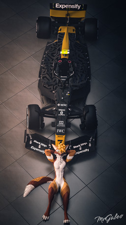 anthro car formula_1_car fur hair looking_at_viewer male muscular race race_car smile solo tail text vehicle mrgaleo formula_1 canid canine mammal rexouium 3d_(artwork) 9:16 blender_(artwork) blender_cycles_(artwork) digital_media_(artwork) english_text hi_res