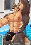 abs anthro areola biceps black_clothing black_nose black_swimwear bottomwear brown_body brown_fur bulge clothing eyebrows fur hand_behind_head looking_at_viewer male muscular muscular_anthro muscular_male nipples one_eye_closed partially_submerged patreon_logo pecs pool purple_eyes smile solo speedo swimwear tail teeth thick_eyebrows water wet wet_body wolfblack43 lifewonders live_a_hero patreon pubraseer canid canine canis domestic_dog mammal digital_media_(artwork) hi_res