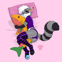 anthro belly blue_nose blue_pawpads clothing femboy footwear fur grey_body grey_fur hair knee_highs knee_socks legwear looking_at_viewer lying male pawpads pillow pink_background pink_pillow purple_clothing purple_eyes purple_footwear purple_shirt purple_socks purple_topwear purple_underwear shirt simple_background socks solo topwear underwear white_belly white_body white_fur white_hair bell_koji ikea blahaj klos_wulf hybrid mammal procyonid raccoon hi_res