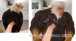 ambiguous_gender anthro anthro_focus barazoku beak biceps big_biceps big_muscles big_pecs black_eyebrows blurred_background blush bodily_fluids brown_body brown_feathers brown_wings cross-popping_vein detailed_background duo eyebrows eyes_closed feathered_wings feathers fingers first_person_view front_view inside male male_focus motion_lines multicolored_body multicolored_feathers muscular muscular_anthro muscular_male nude onomatopoeia painting pecs petting petting_pov qr_code real scuted_arms scutes solo_focus sound_effects sweat sweatdrop text triceps two_tone_body two_tone_feathers white_body white_feathers wings yellow_beak dr.whiger accipitrid accipitriform avian bald_eagle bird eagle human mammal sea_eagle 2021 artist_name digital_media_(artwork) distracting_watermark english_text hi_res japanese_text mixed_media photography_(artwork) translated translation_check watermark