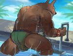 anthro bulge clothing detailed_bulge male muscular muscular_anthro muscular_male pool solo swimwear water wet wulfer-shepherd league_of_legends riot_games tencent nasus_(lol) anubian_jackal canid canine canis jackal mammal absurd_res digital_media_(artwork) hi_res