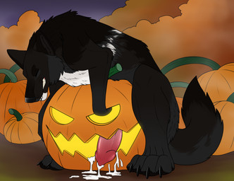 animal_genitalia animal_penis bared_teeth black_body black_claws black_fur black_pawpads bodily_fluids canine_genitalia canine_penis claws cum cum_on_ground eyes_closed feral fur genital_fluids genitals male male_feral masturbation outside pawpads penetrating_pumpkin penetration penile penile_masturbation penile_penetration penis solo white_body white_fur killthe_demon echo_(wolffylegend) canid canine mammal hi_res
