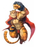 anthro armpit_hair barazoku biceps body_hair brown_body brown_fur bulge cape clothed clothing fur ineffective_clothing male markings muscular muscular_anthro muscular_male orange_body orange_fur skimpy solo stripes tail nick300 build_tiger build_tiger_(character) felid mammal pantherine tiger