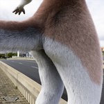 anthro butt butt_shot male solo tail sprucethedeer untied_verbeger sergal_(untied_verbeger) sergal rendered 1:1 3d_(artwork) digital_media_(artwork)