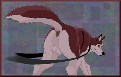anus backsack balls black_nose butt butt_focus feral genitals looking_back male presenting presenting_hindquarters solo unknown_artist balto_(series) universal_studios kodiak_(balto) canid canine canis domestic_dog husky hybrid mammal nordic_sled_dog spitz wolf wolfdog aliasing digital_media_(artwork)