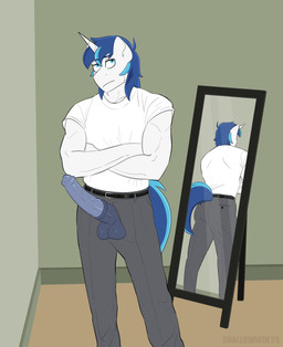 animal_genitalia animal_penis anthro balls belt blue_eyes blue_hair blue_tail bottomwear clothing equine_genitalia equine_penis erection genitals hair horn male medial_ring mirror muscular muscular_male pants penis penis_poking_out reflection shirt solo t-shirt tail topwear white_body white_clothing white_shirt white_t-shirt white_topwear shallowwin friendship_is_magic hasbro my_little_pony mythology shining_armor_(mlp) equid equine mammal mythological_creature mythological_equine unicorn hi_res