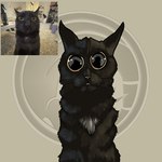 ambiguous_gender big_eyes black_body black_eyes black_fur black_nose feral fur glistening glistening_eyes logo looking_at_viewer reflection_in_eyes solo spots dragonfetus domestic_cat felid feline felis mammal 1:1 absurd_res artist_logo hi_res meme